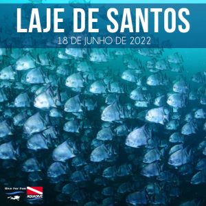 Mergulho Laje de Santos - DFF & AQD